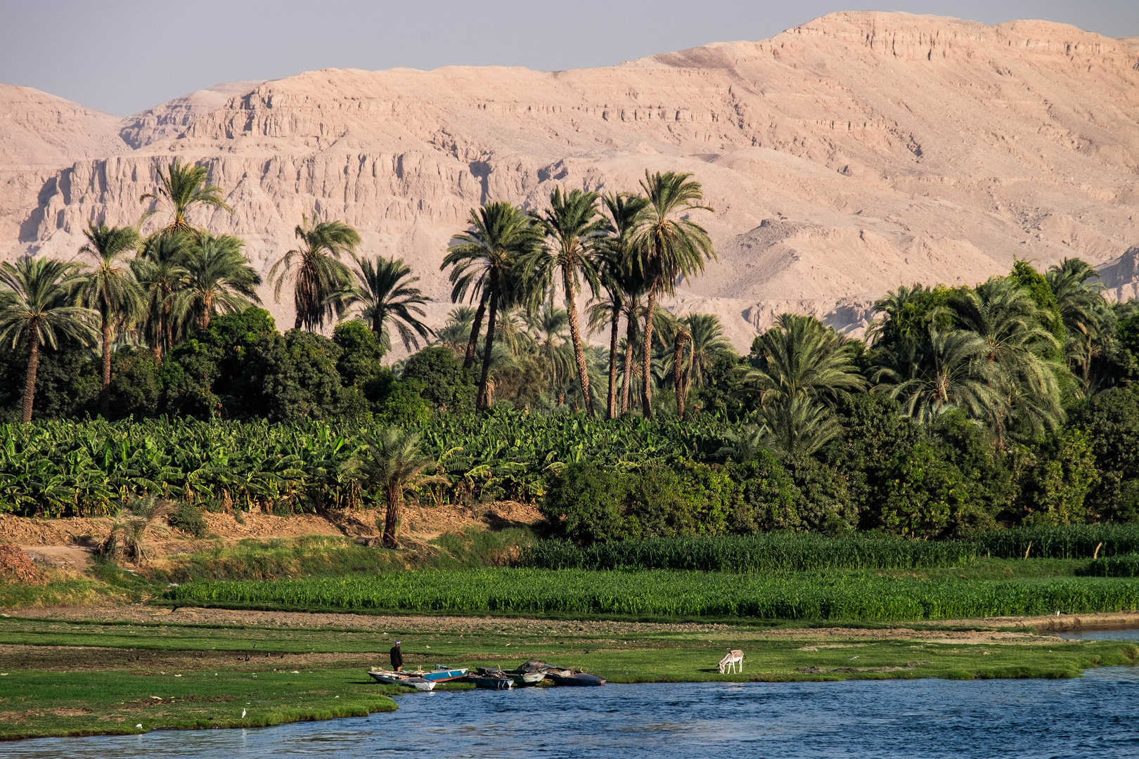 Leben am Nil,  die Lebensader  Ägyptens