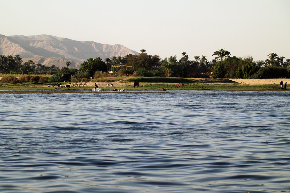 Leben am Nil
