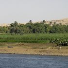 Leben am Nil IV