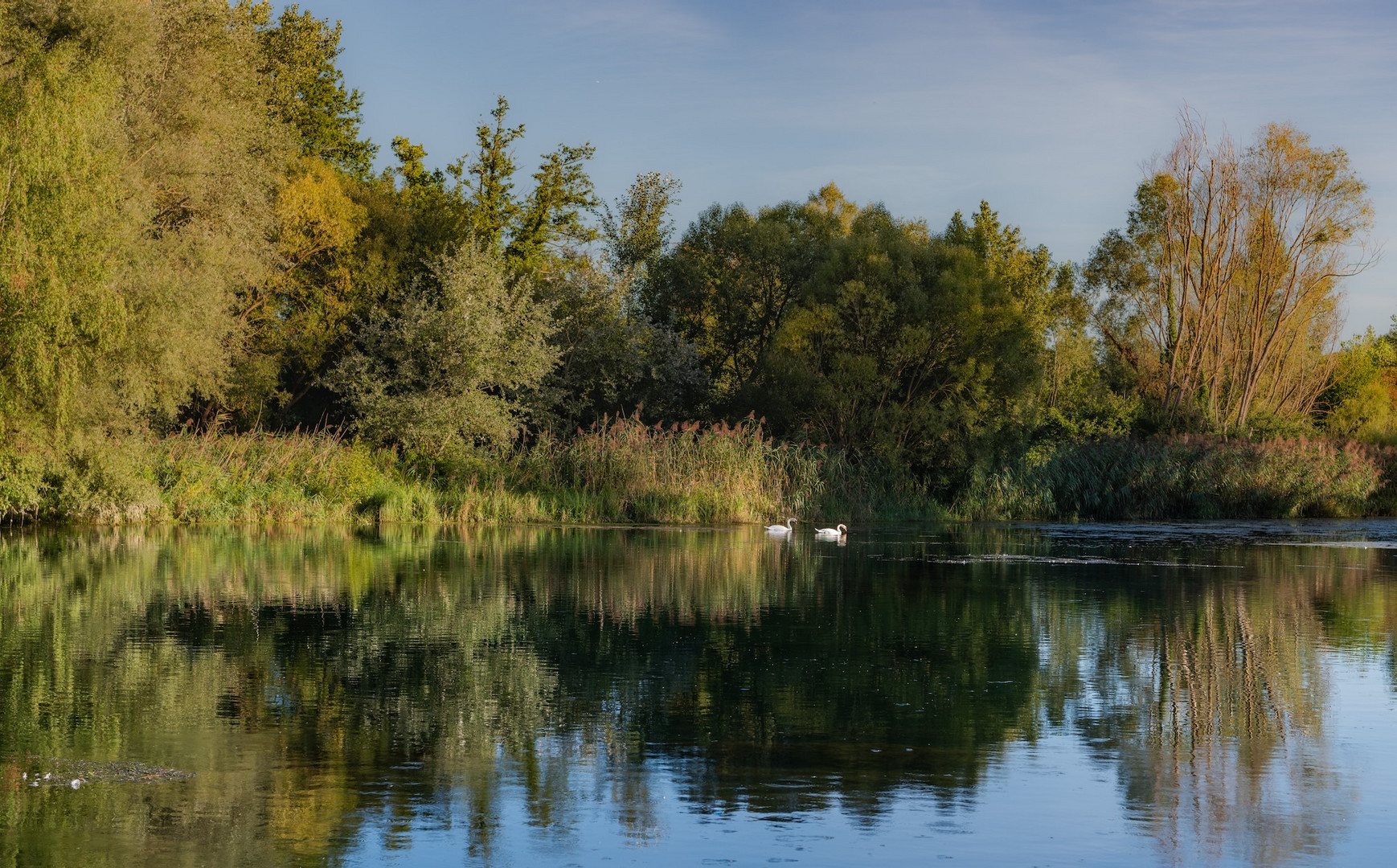 Leben am See.