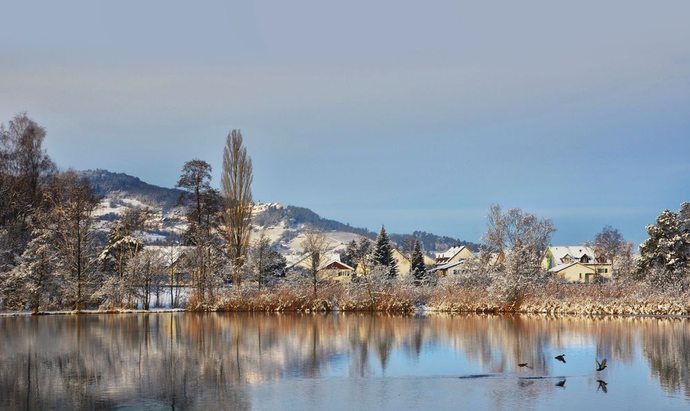 Leben am See