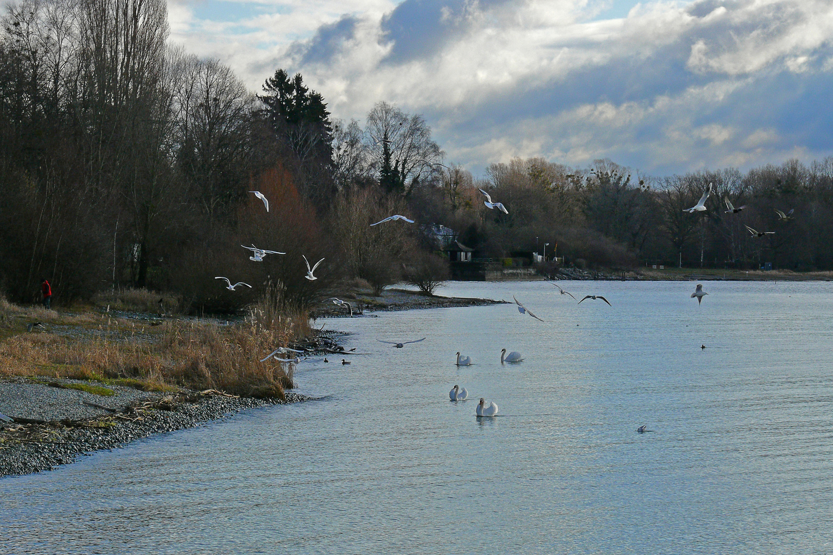 Leben am See