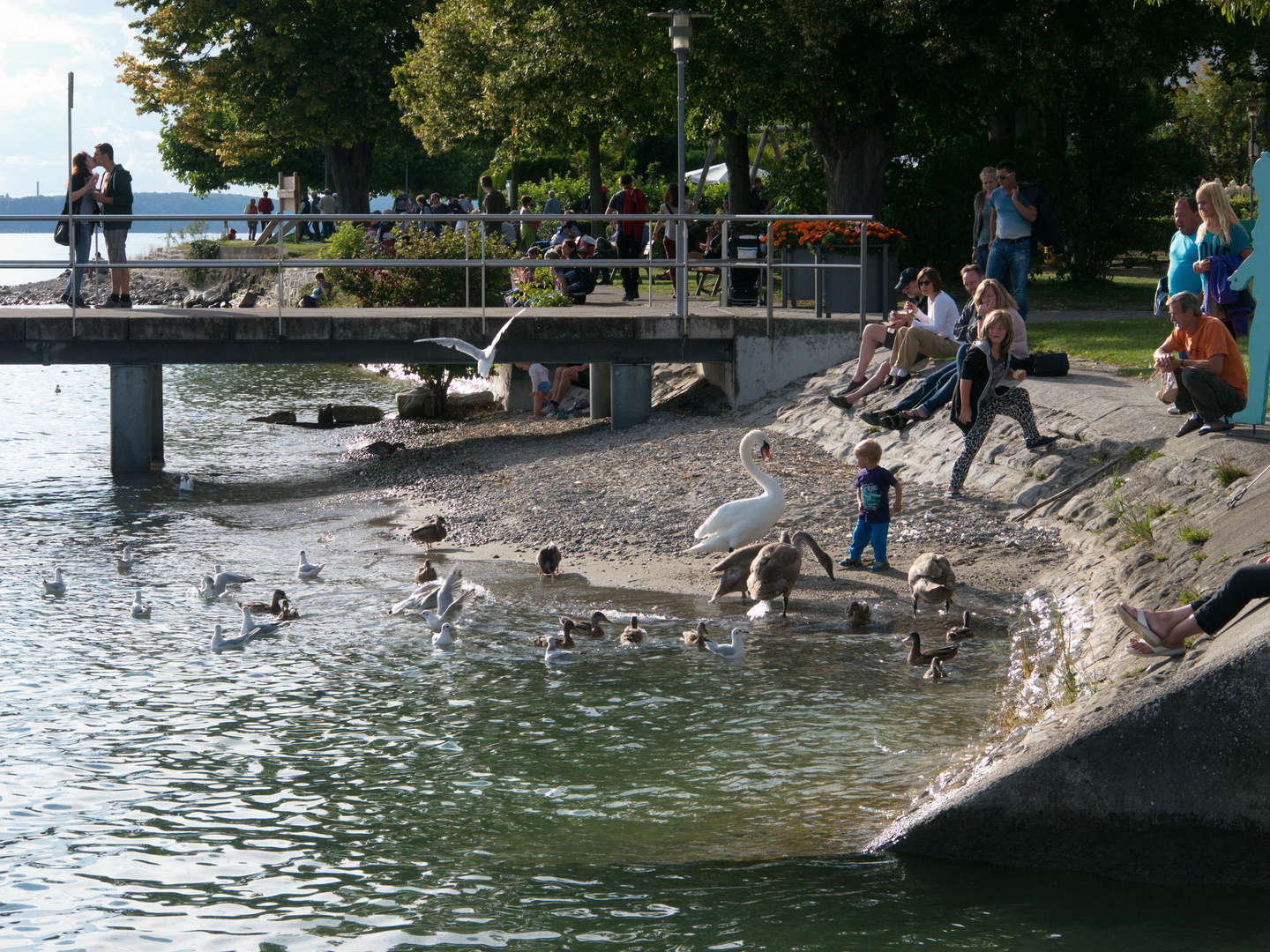 Leben am See