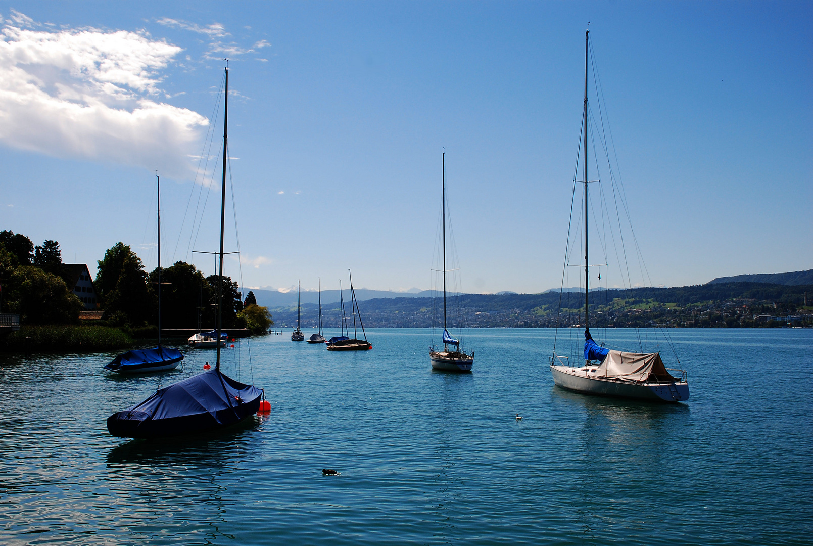 Leben am See