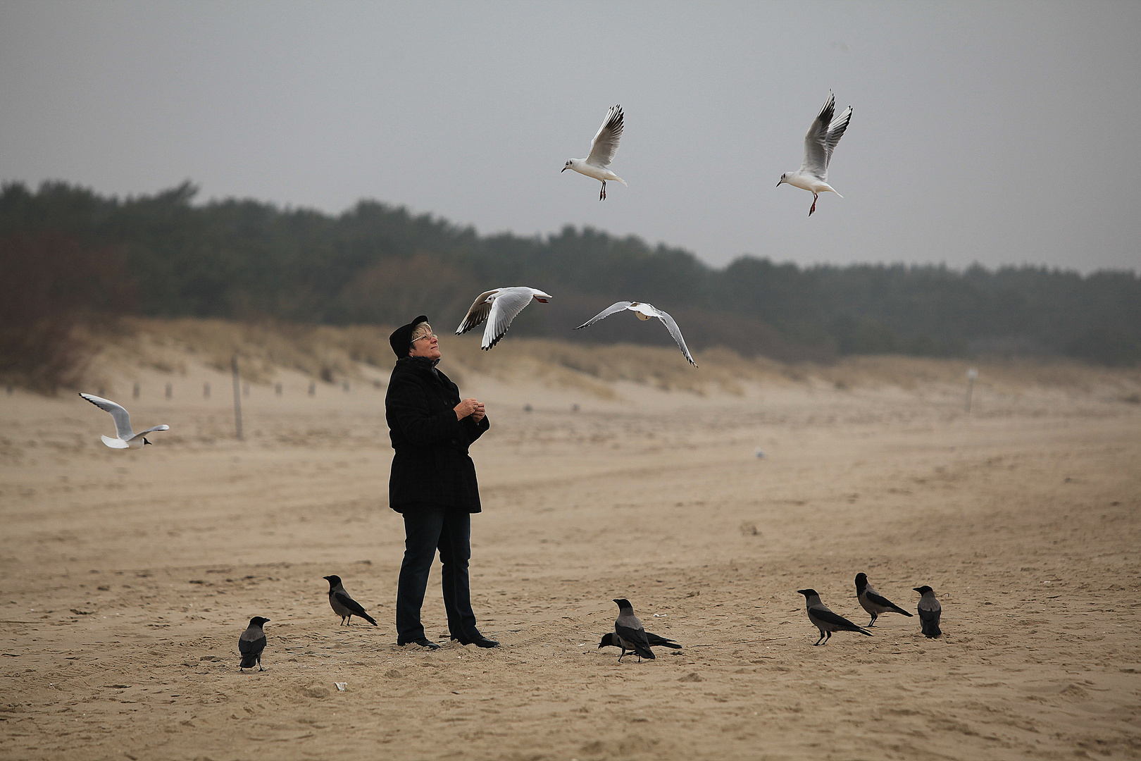 Leben am Strand