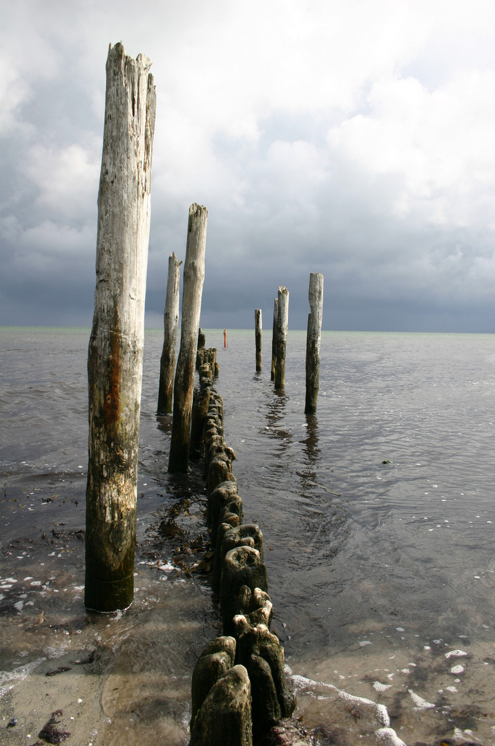 Leben am Strand