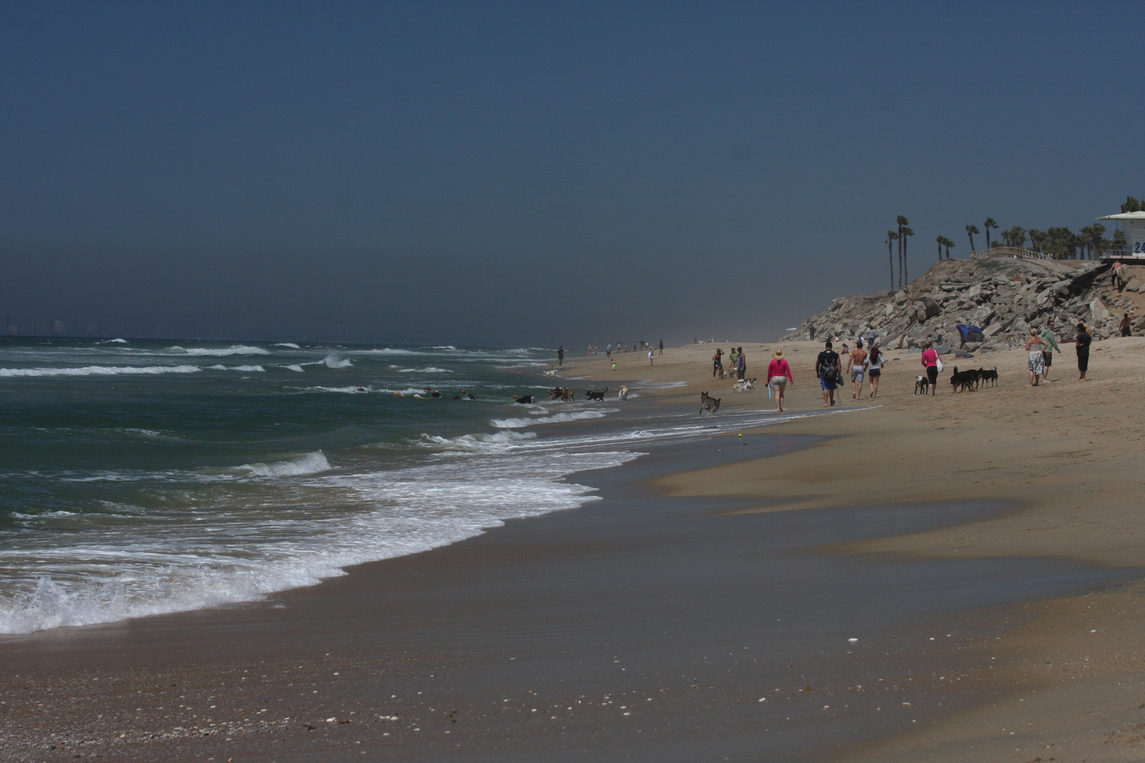 Leben am Strand