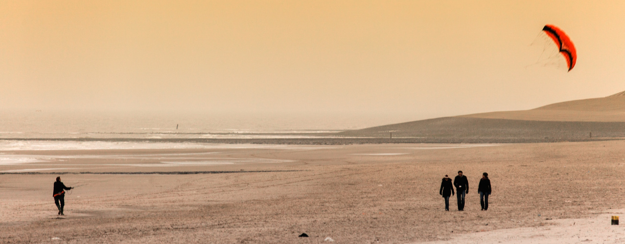 Leben am Strand