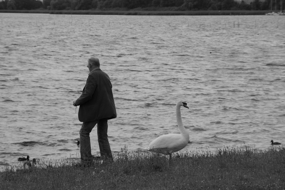 Leben am Uckersee