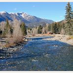 Leben am Vallecito Creek (2)