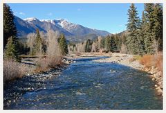 Leben am Vallecito Creek (2)