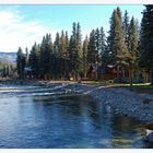 Leben am Vallecito Creek