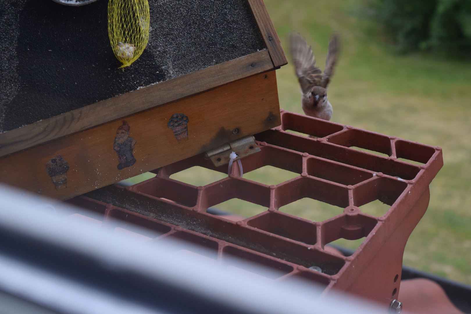 Leben am Vogelhäuschen