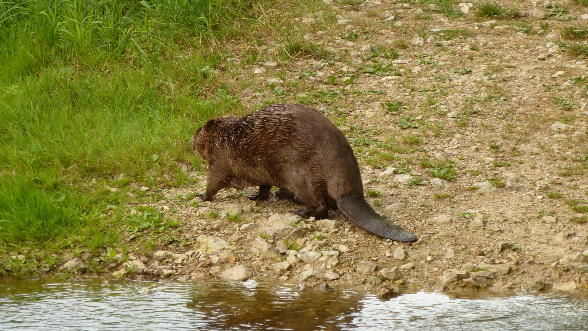 Leben am Wasser (3)