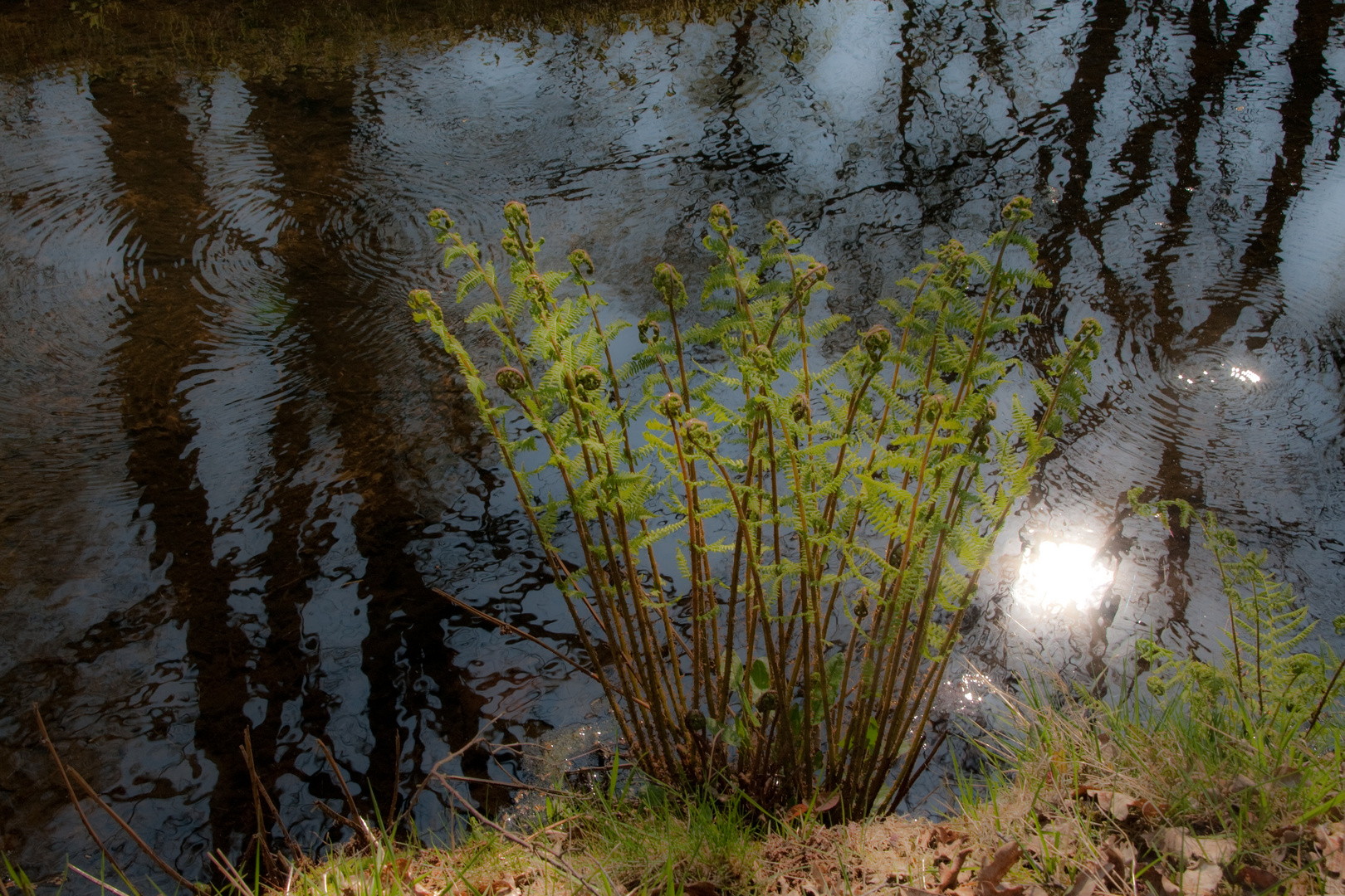 Leben am Wasser