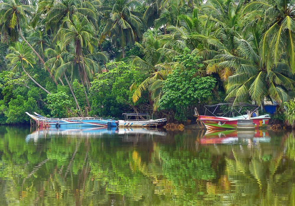 Leben an der Koggala Lagoon