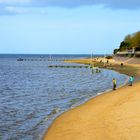 Leben an der Nordsee