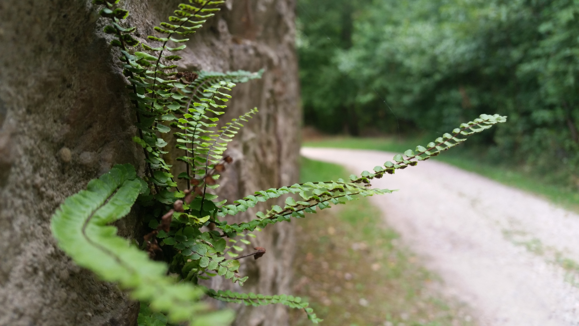 Leben an Hang