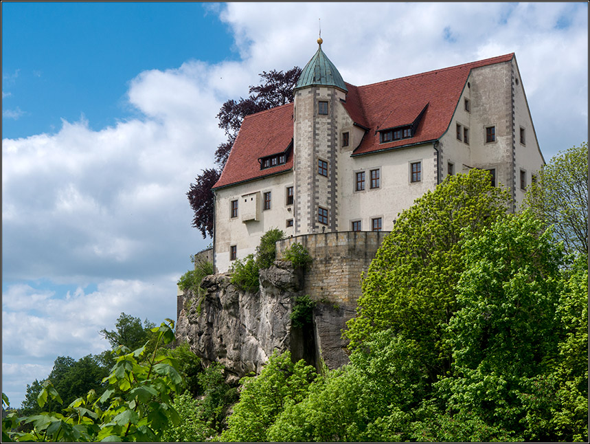 Leben auf dem Fels