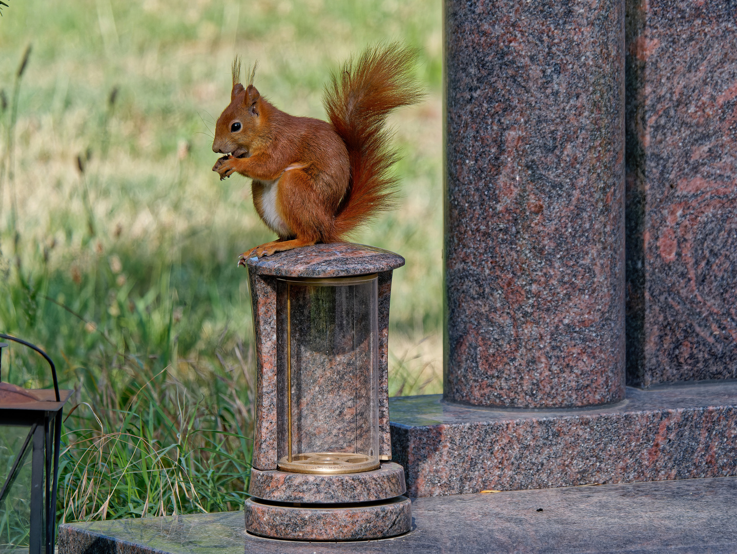 Leben auf dem Friedhof