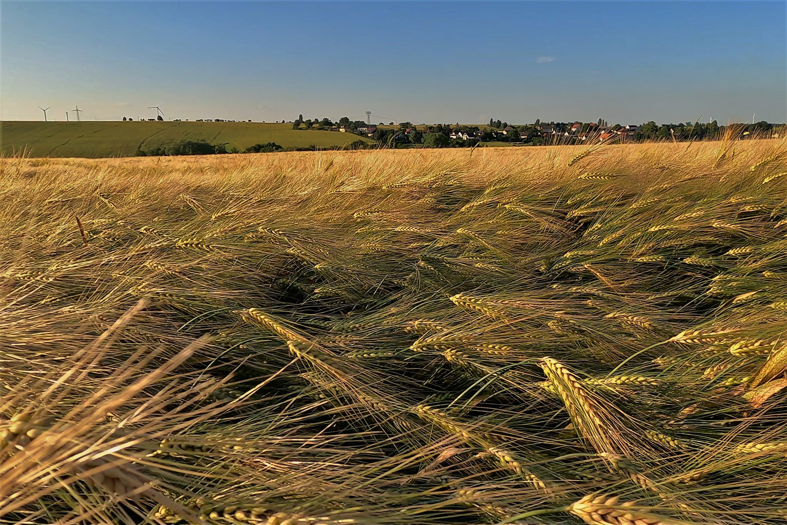 Leben auf dem Land Foto & Bild landschaft, Äcker, felder & wiesen
