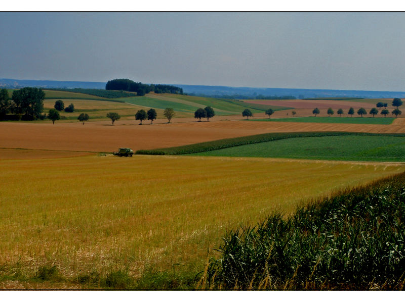 Leben auf dem Lande