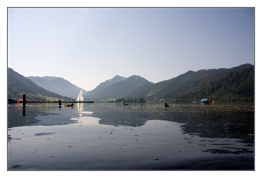 Leben auf dem Schliersee