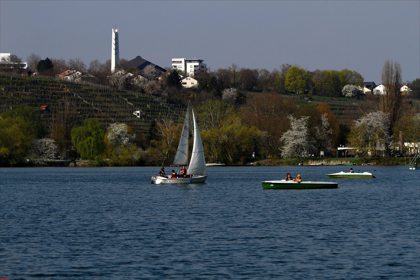 Leben auf dem See