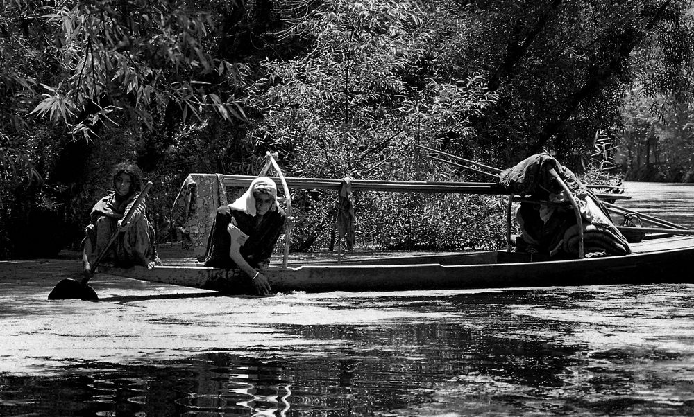 Leben auf dem Wasser in Srinagar