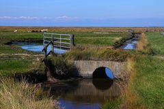 Leben auf der Hallig