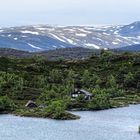 Leben auf der Hardangervidda.