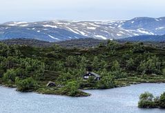 Leben auf der Hardangervidda.