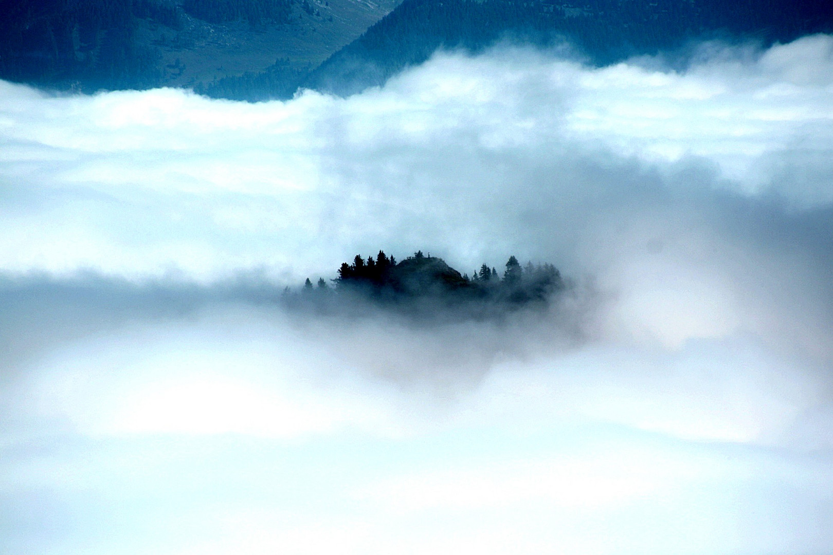 Leben auf der Wolke