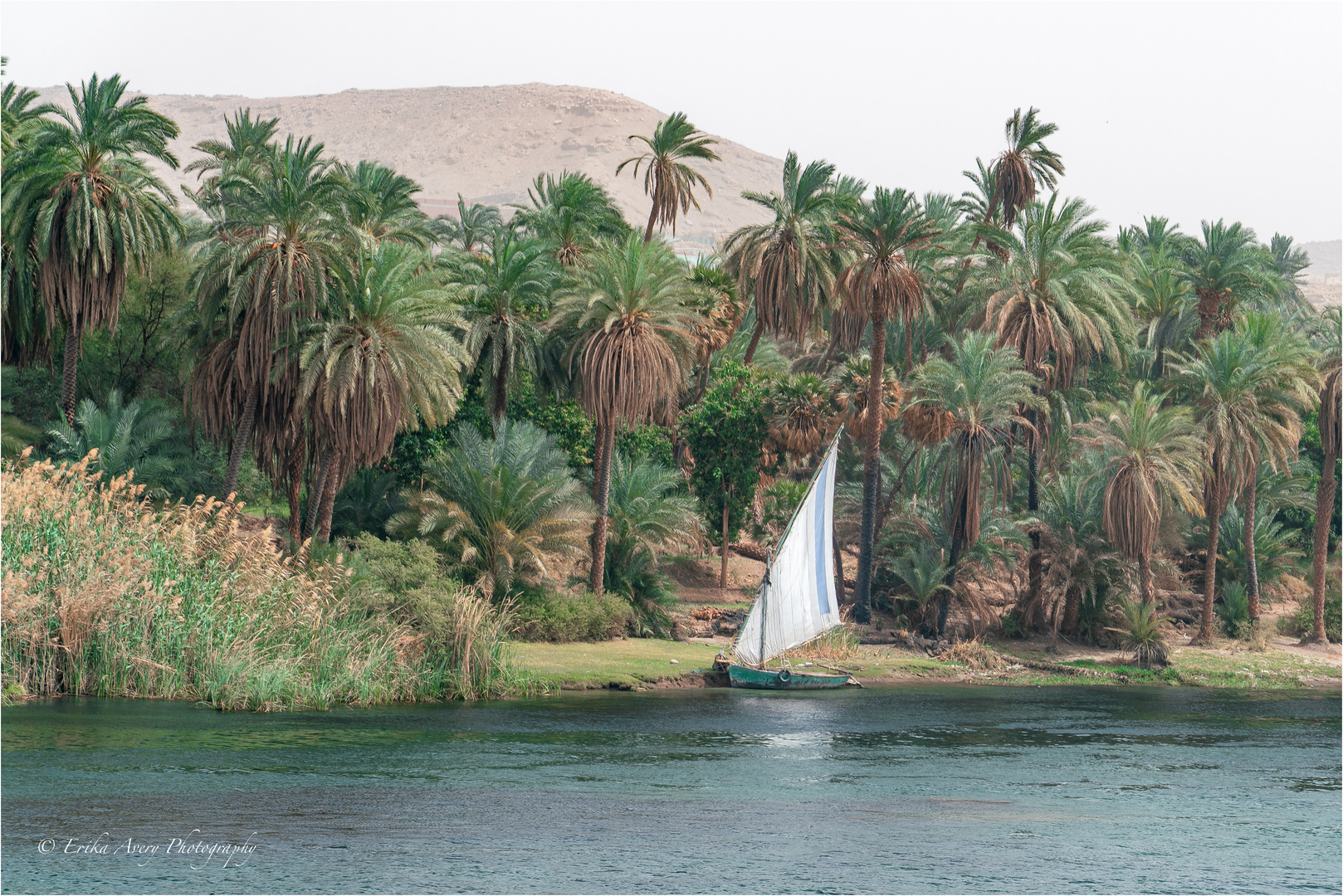 Leben dem Nil entlang Foto & Bild | wasser, sonne, frühling Bilder auf ...
