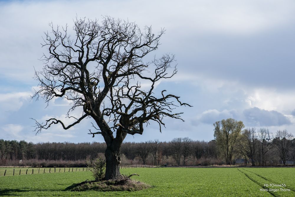 Leben, einzeln und frei (I)