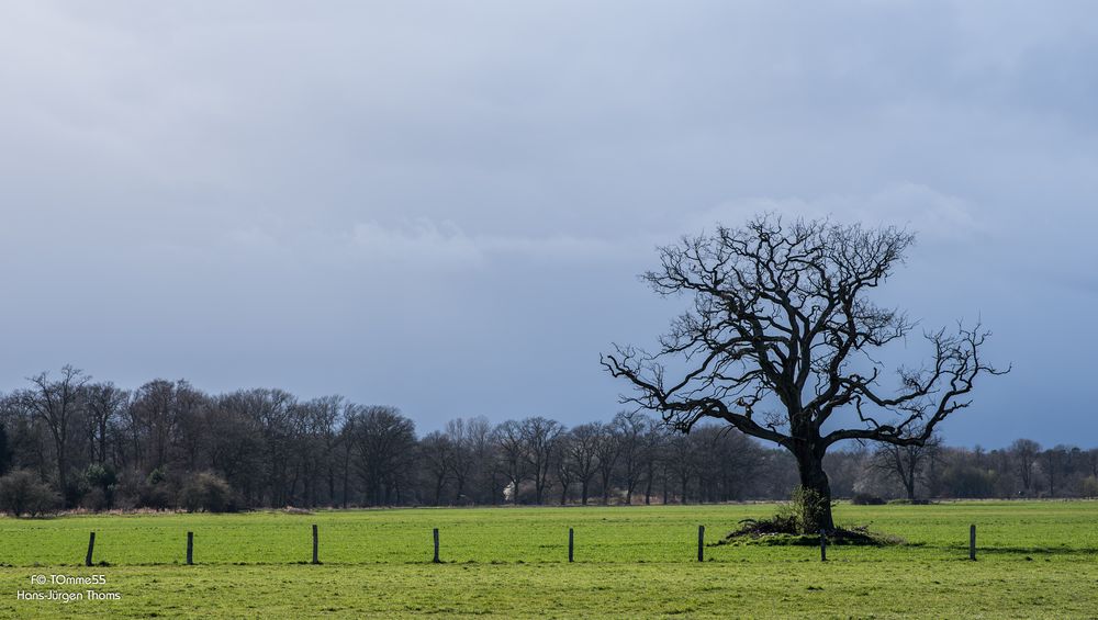 Leben, einzeln und frei (II)