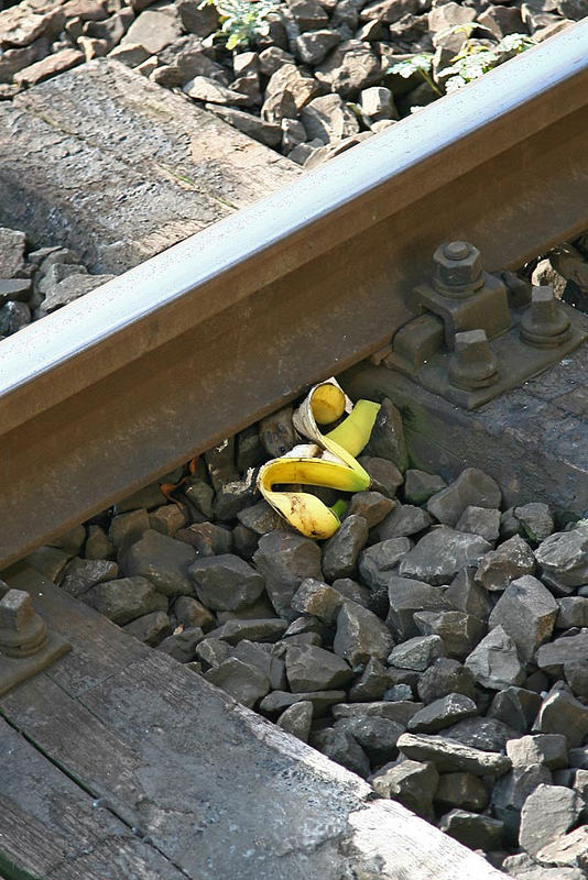 Leben im Gleisbereich ( Maus )