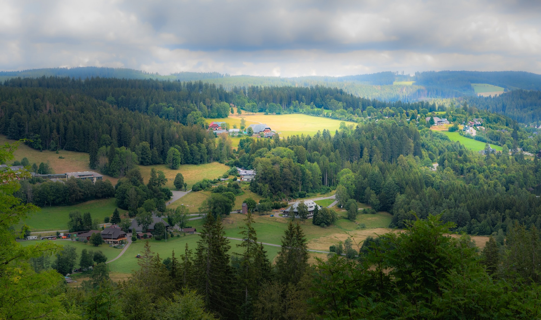 Leben im Schwarzwald.