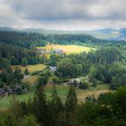 Leben im Schwarzwald.