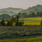 Leben im Tal