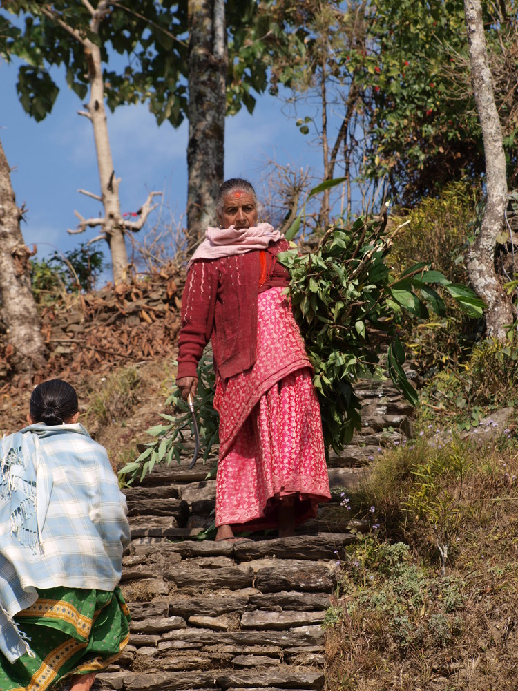 Leben im Terai-Nepal