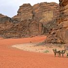 Leben im Wadi Rum