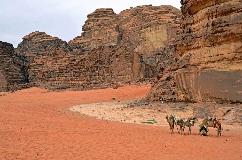 Leben im Wadi Rum