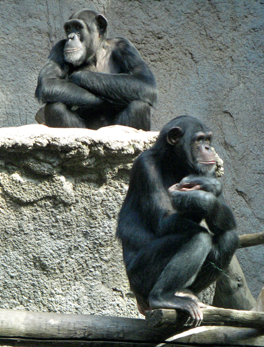 Leben im ZOO (8)