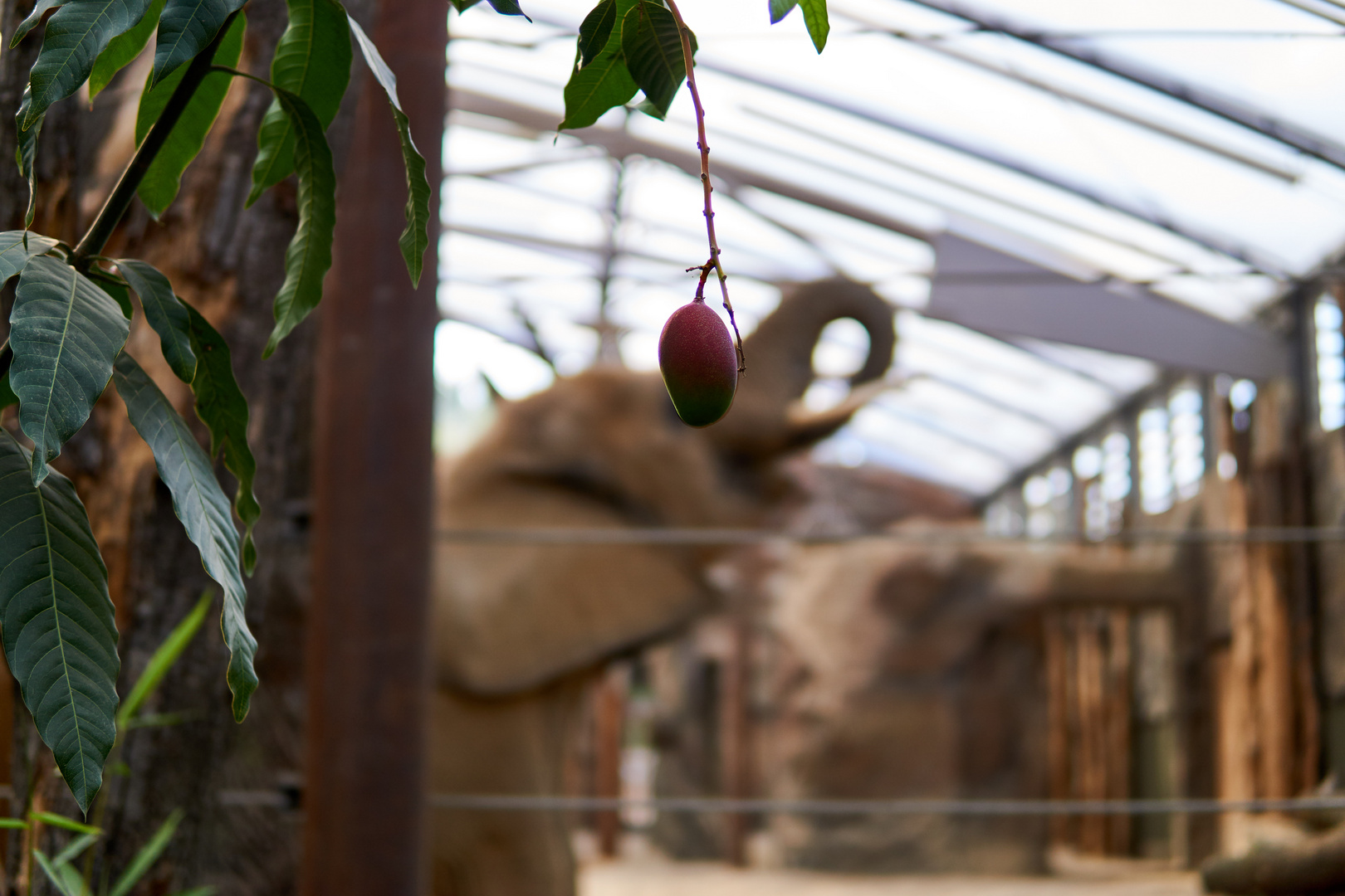 Leben im Zoo