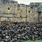 Leben in antiken Mauern.                  ..120_4274