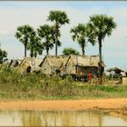 Leben in Cambodia- Am Ufer des Tonle Sap