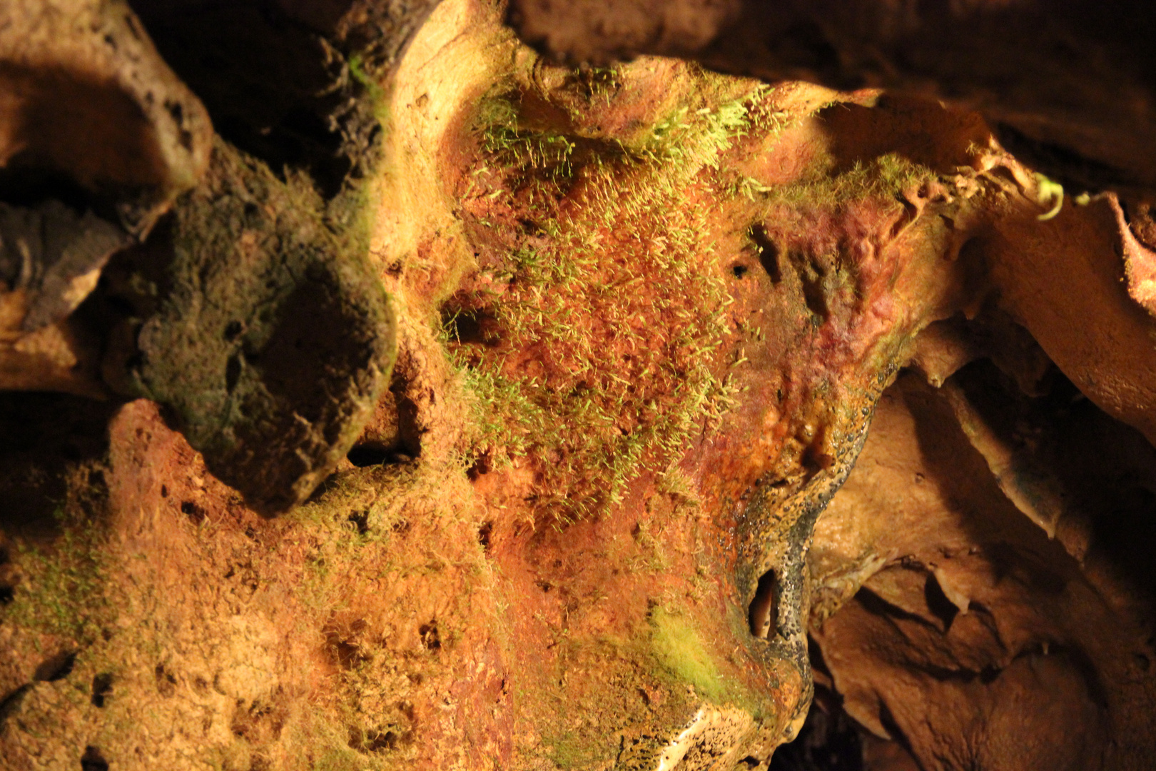 Leben in der Charlottehhöhle