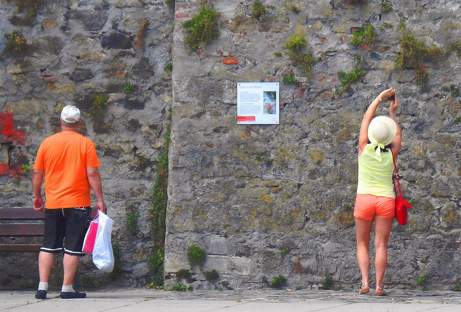 leben in der mauer