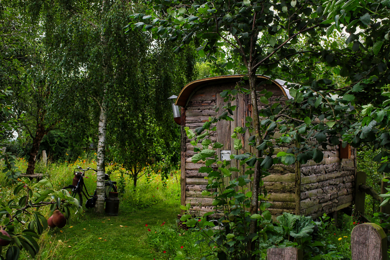 Leben in der Natur